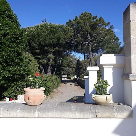 B&B Trulli E Mare マルティナ・フランカ エクステリア 写真
