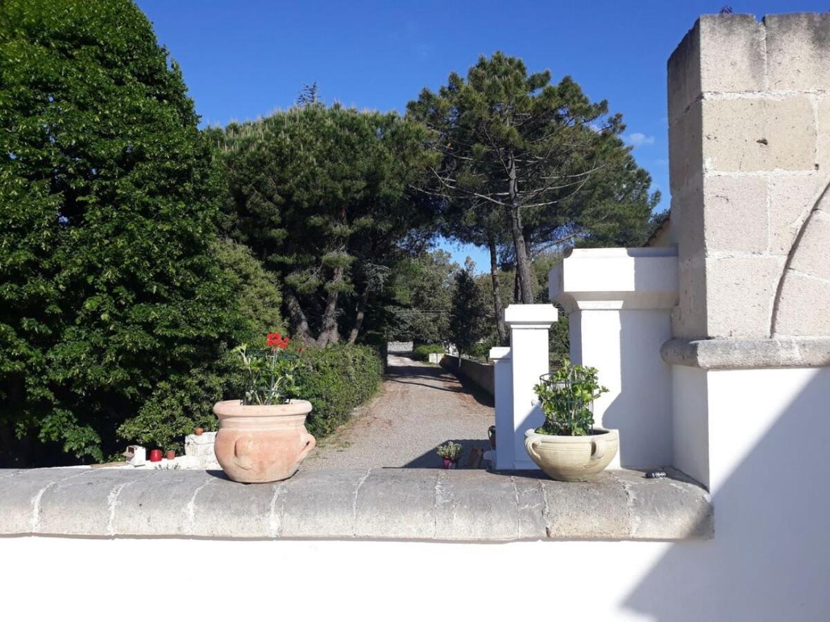 B&B Trulli E Mare マルティナ・フランカ エクステリア 写真